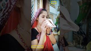 Amazing Conch blowing sound 🐚 👉 | Conch Shell 🐚 | SVD #shorts