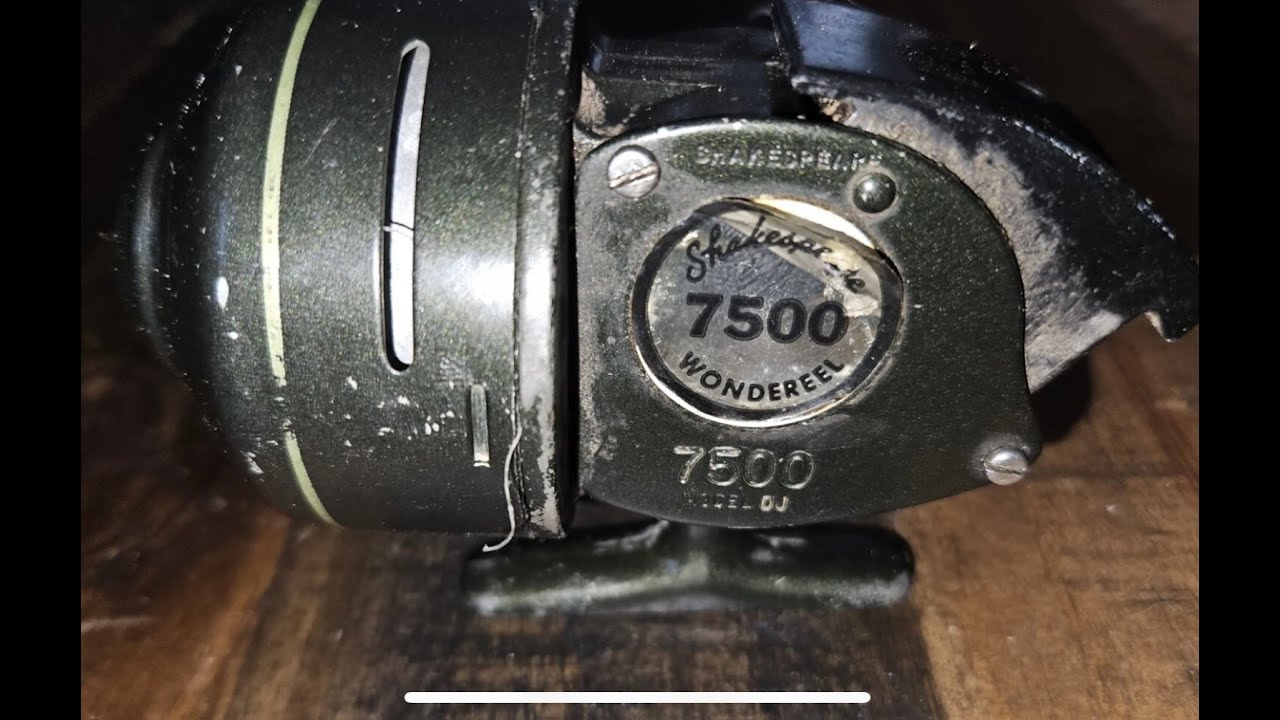 81624124_5