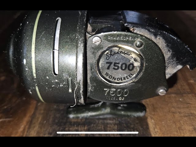 619573_2