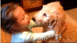 Get Marty: Woman Demands Refund After Her New Puppy Is Diagnosed With Parvo