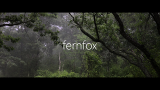 FernFox Live Stream