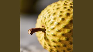 Janji di Musim Hujan