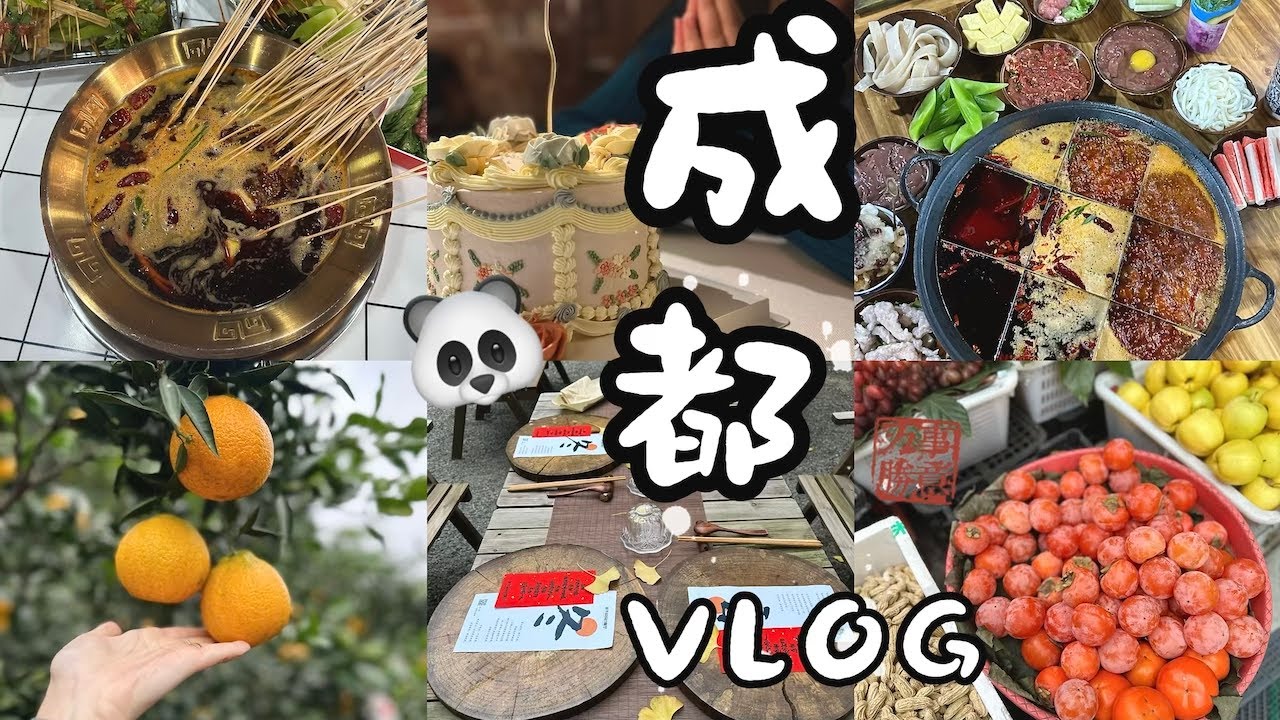 又回成都啦！一周快闪CHENGDU VLOG｜火锅/串串/烧烤/奶茶/烤鱼｜铁牛村🍊｜和家人的快乐时光♥