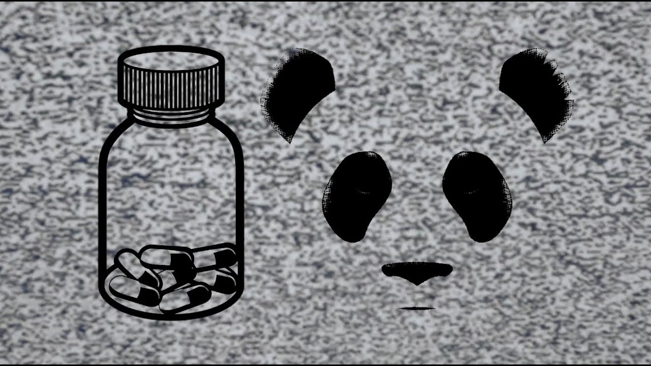 They Don't Give a $$$$ — Street Pharmacy & Giant Panda Guerilla Dub ...