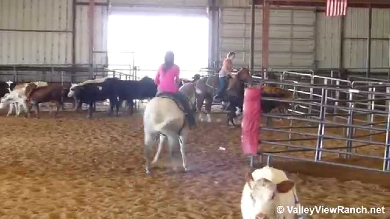 HBD Blues CD and Smart Timen - sorting practice #2 - Valley View Ranch