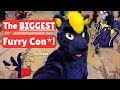 I Went to The Biggest Furry Con in Texas! | TFF 2025 Review Mp3 Song