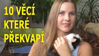 10 Věcí které vás překvapí při chovu morčat