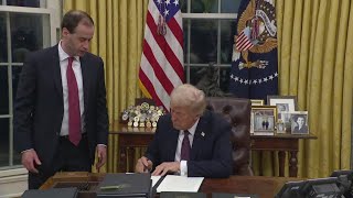 Legal expert discusses Trump's executive orders