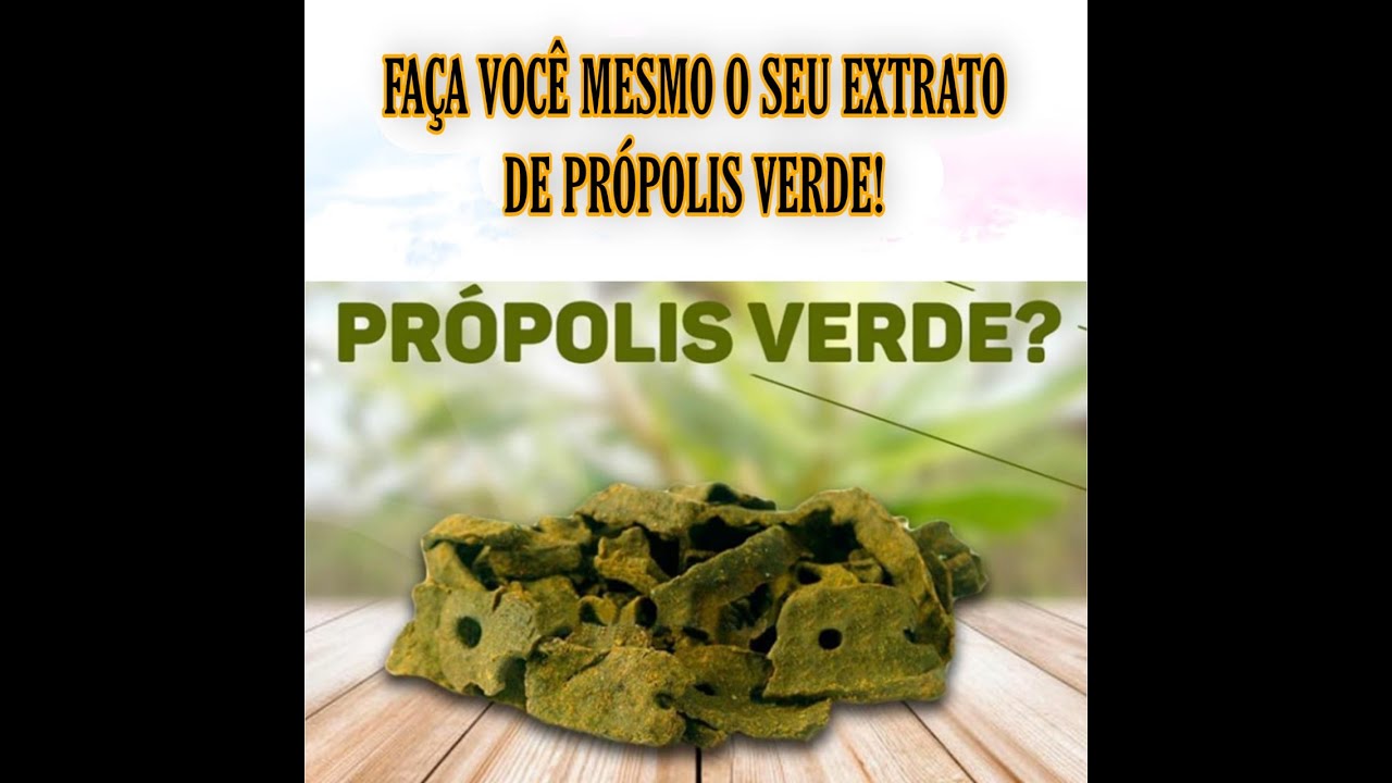 COMO FAZER EXTRATO DE PRÓPOLIS DA MANEIRA CORRETA