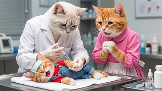 🐱💉 From Worry to Care: Mama Cat Takes Her Kitten to the Vet for a Shot 💖✨
