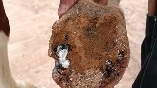 RESTORATION TRIMING AND SHOEING STISFYING#satisfying #asmr #farrier #horselover