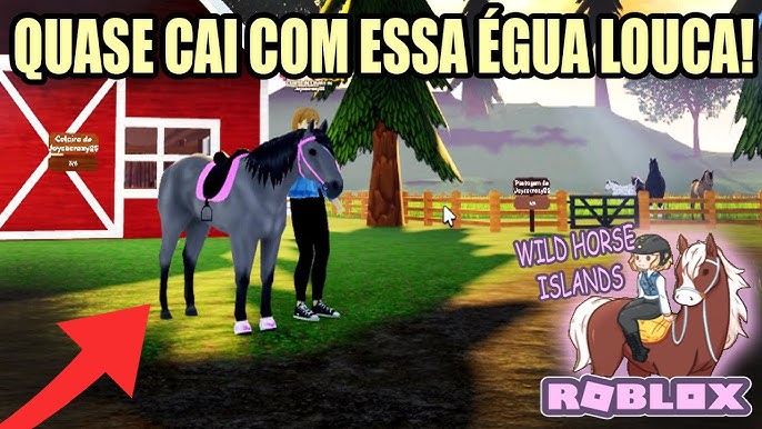 De Tudo Um Pouco: ROBLOX