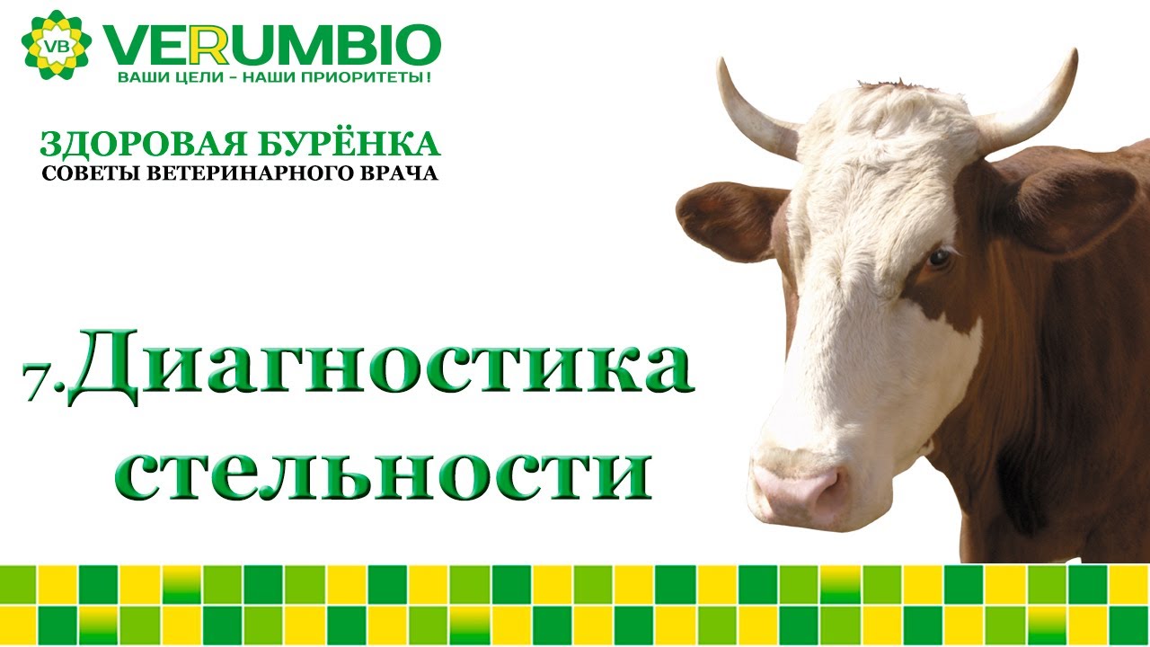 Классические методы диагностики стельности