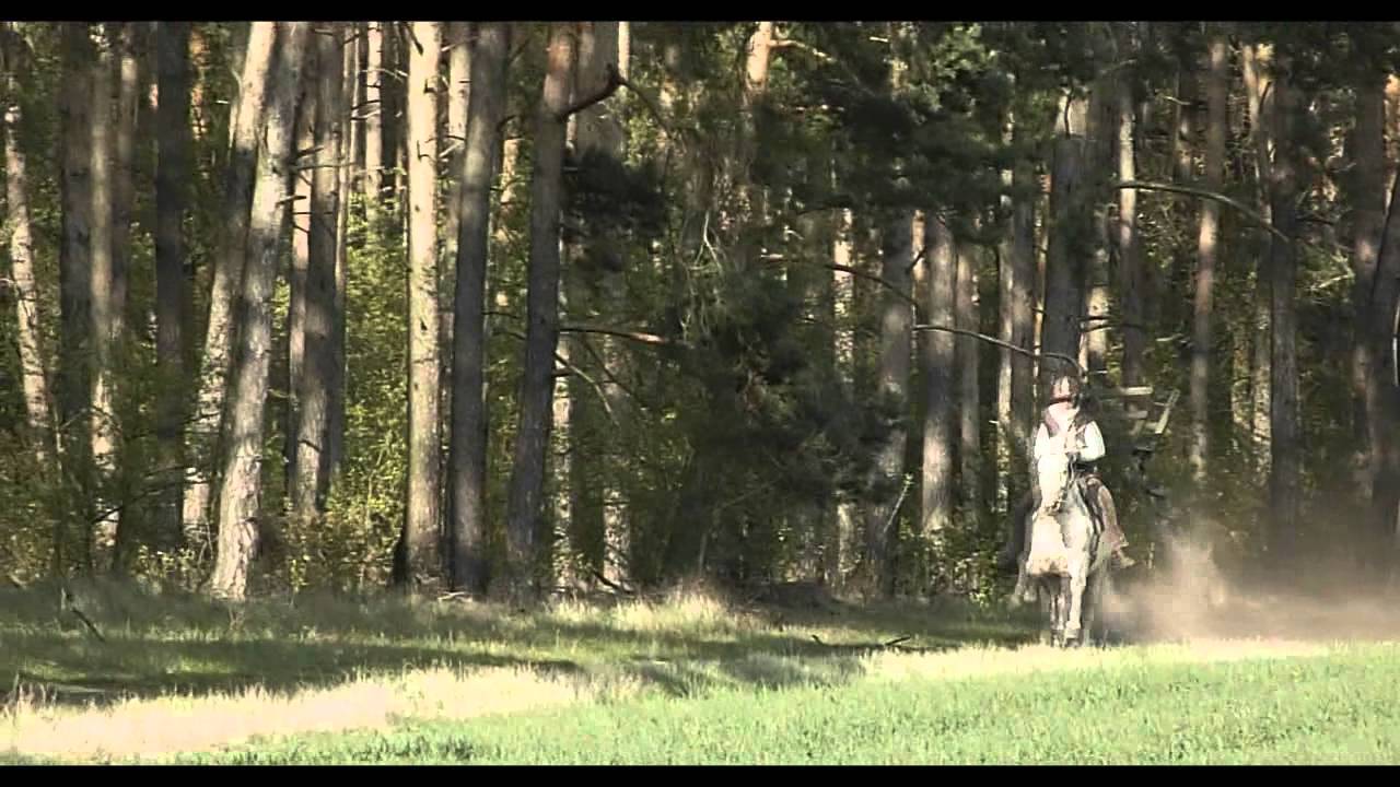 Being with horses-Mit Pferden sein (groundwork, riding)