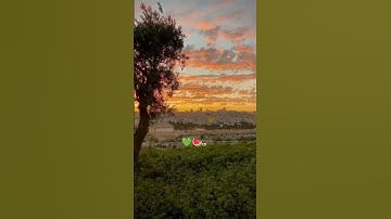 وجوه يومئذ ناعمه💚.. #القرآن #سورة_الغاشية #راحة_نفسية #عبدالرحمن_مسعد #قرأن #فلسطين_حرة #غزة_تباد
