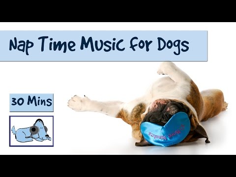30-minutes-of-doggy-sleep-music!-the-perfect-nap-time-soundtrack-for-your-dog-or-puppy!