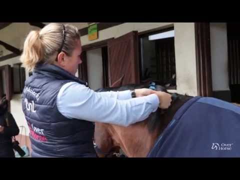 Wideo: Jak Zapleść Grzywę Konia