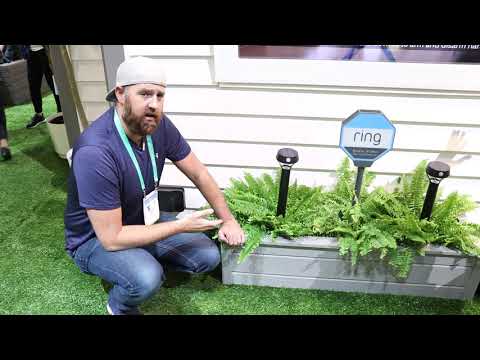 New Ring Solar Powered Smart Lights at CES 2020
