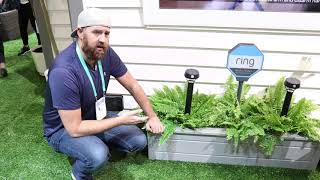 New Ring Solar Powered Smart Lights at CES 2020
