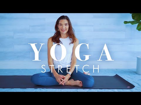 Gentle Yoga Stretch Workout for Beginners & Seniors