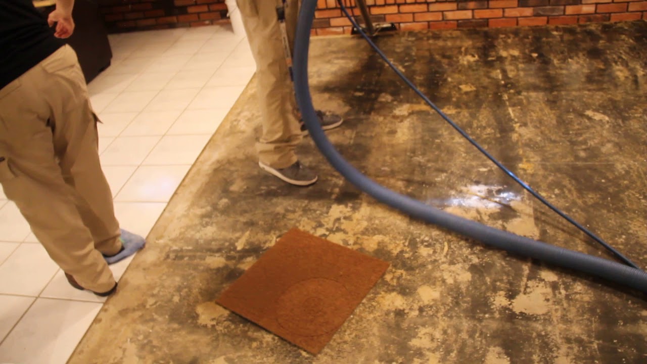 Basement mud extraction - final cleanup after mudslide - YouTube