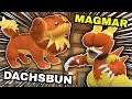 Dachsbun SUN Team! Reg H Pokemon VGC Competitive Doubles Wifi Battle