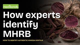 How to Identify Authentic Mimosa Hostilis Root Bark