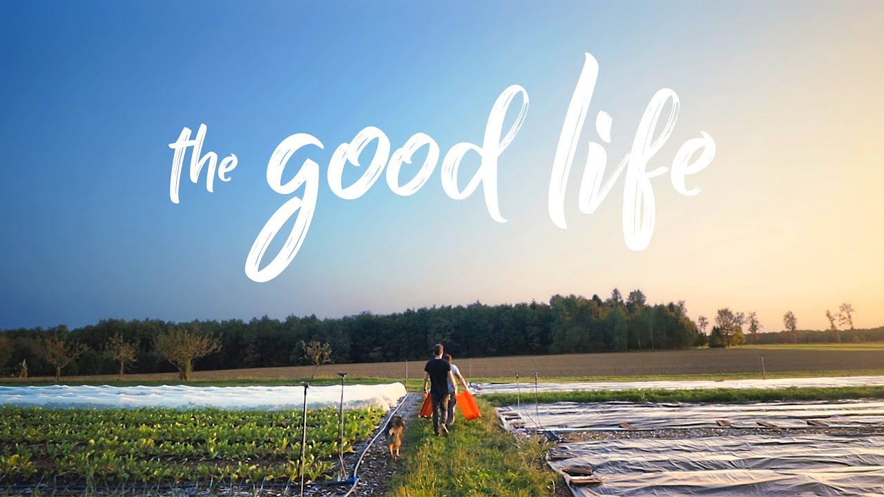 The good life found. Жизнь хороша. The good Life. Фармс лайф.