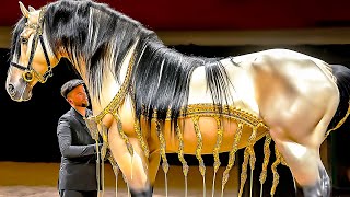 15 Most Expensive Horses in The World