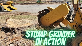 Stump Grinder in Action