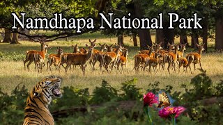Largest National Park of Northeast India || Namdhapa National Park Arunachal