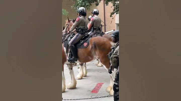 Police on Horseback Clear Pro-Palestinian Protesters at University of Texas