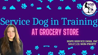 Service Dog Training - How to train at a grocery store (at 4 months old)