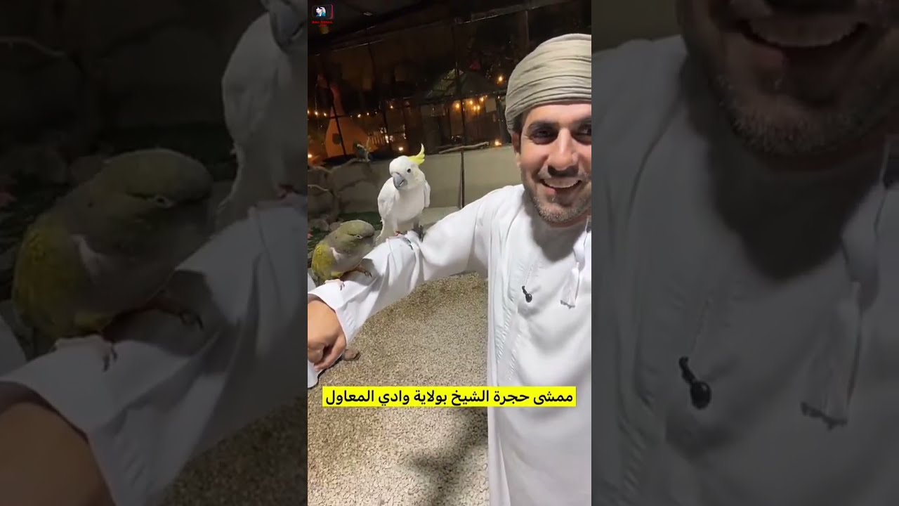 محمد البلوشي/ ممشى حجرة الشيخ بولاية وادي المعاول لا يفوتكم #سلطنة_عمان#اليوم#عروض#2025#تحدي#ترند 