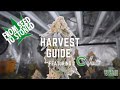 Fromseedtostoned harvest guide featuring cvault