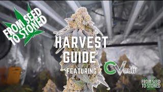 FromSeedToStoned Harvest Guide featuring CVault