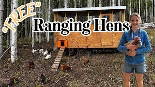 Moving Laying Hens to Summer Pasture in the Eggmobile | Pasture-Raised Eggs