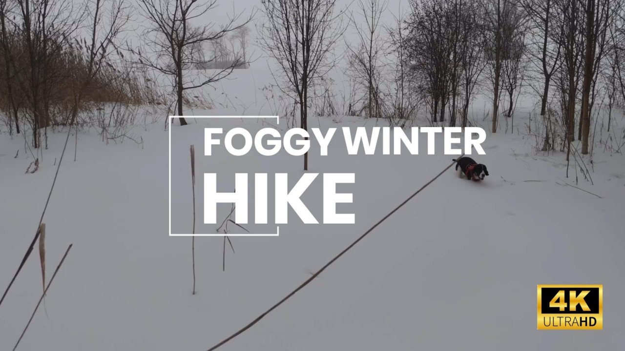 Foggy Winter Hike - 4K - one for peaceful time!