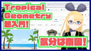 気分は南国 Tropical Geometry の気持ちを紹介するよ Tropical X Mirror Vrアカデミア 012 Youtube