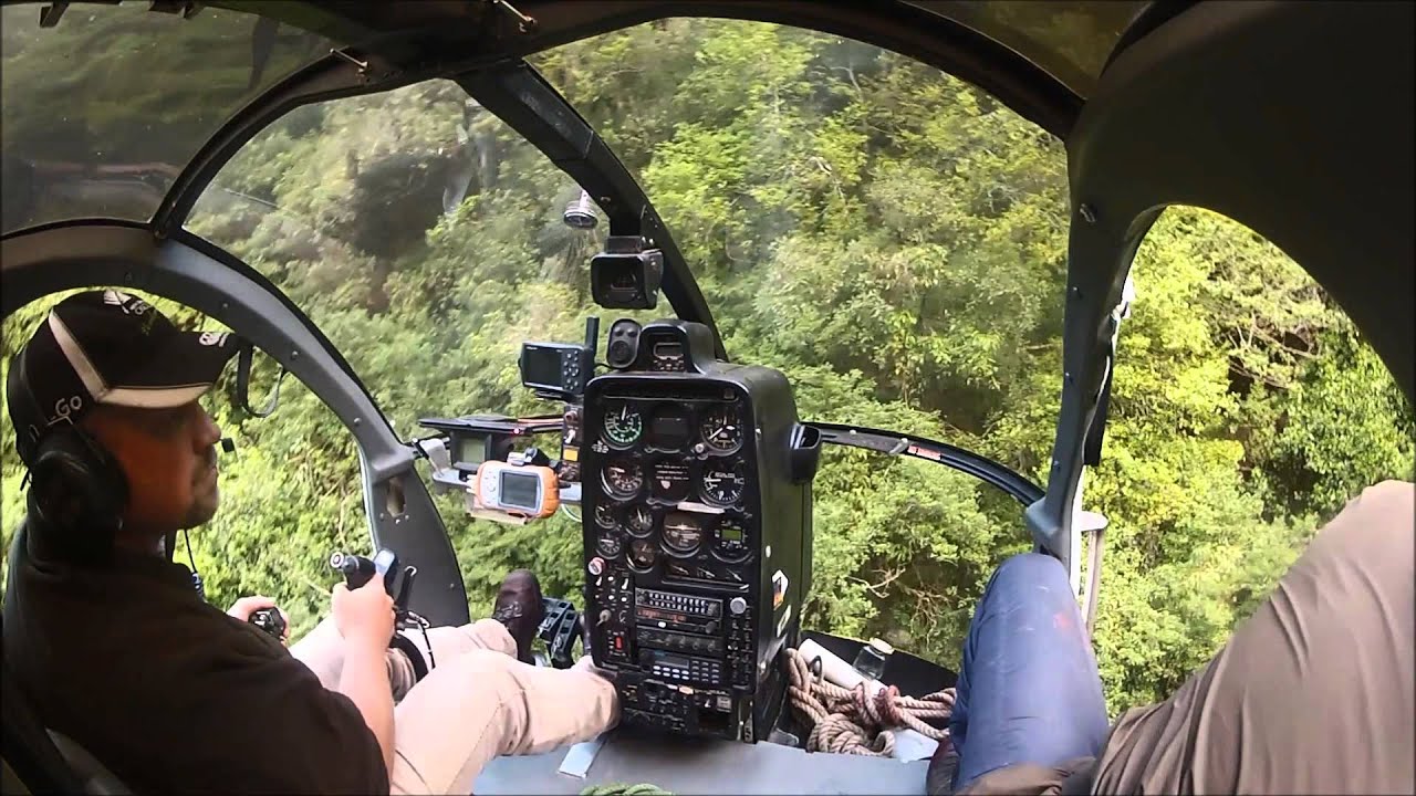 Venision Recovery 2012