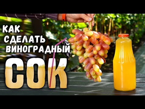 Как сделать виноградный сок?