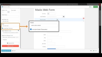 Web Form Field Masks
