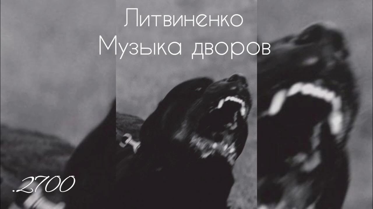 Рассказы литвиненко текст. Музыка дворов Литвиненко.