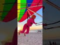 #SkySurfer Granny Takes Flight Over Miami Beach! 🌴✨ #EpicGrandma