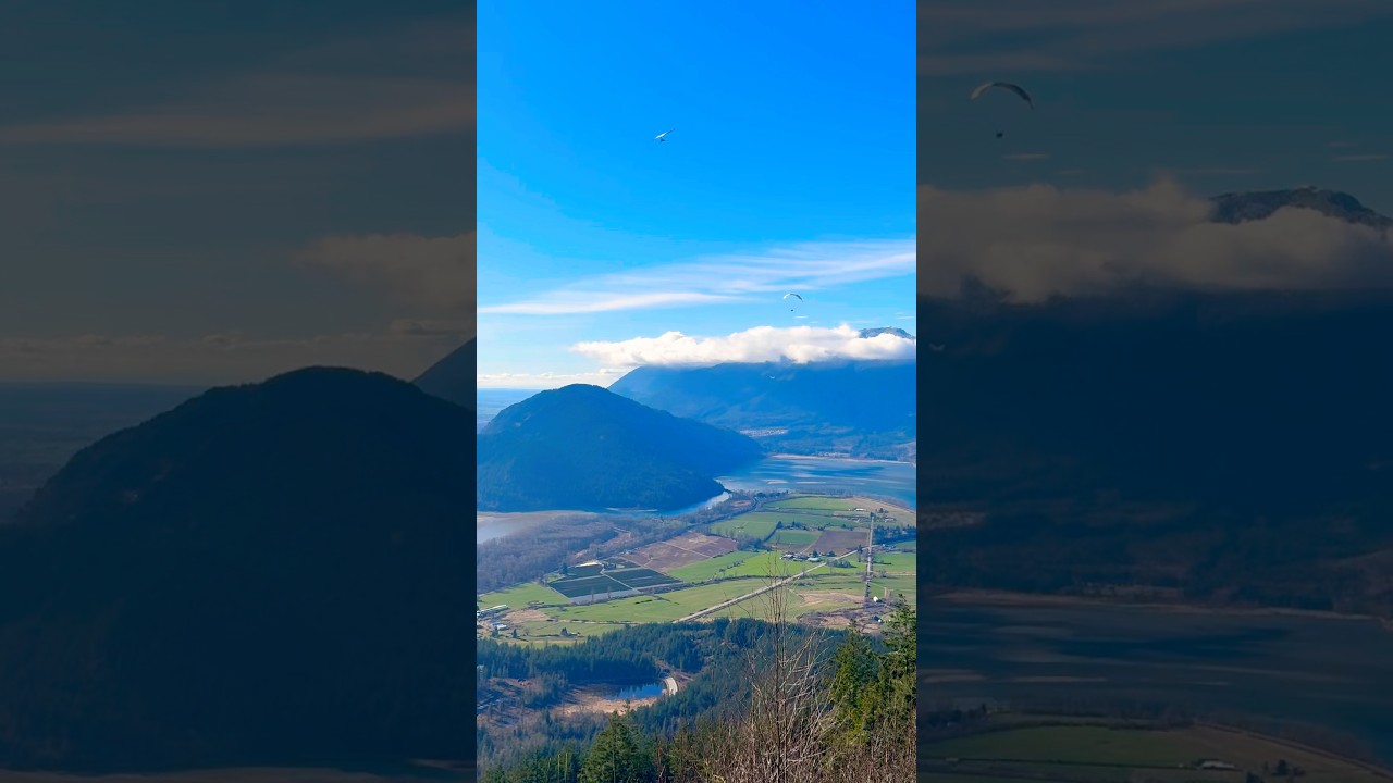 Flying is an expression of freedom like no other. 🦅