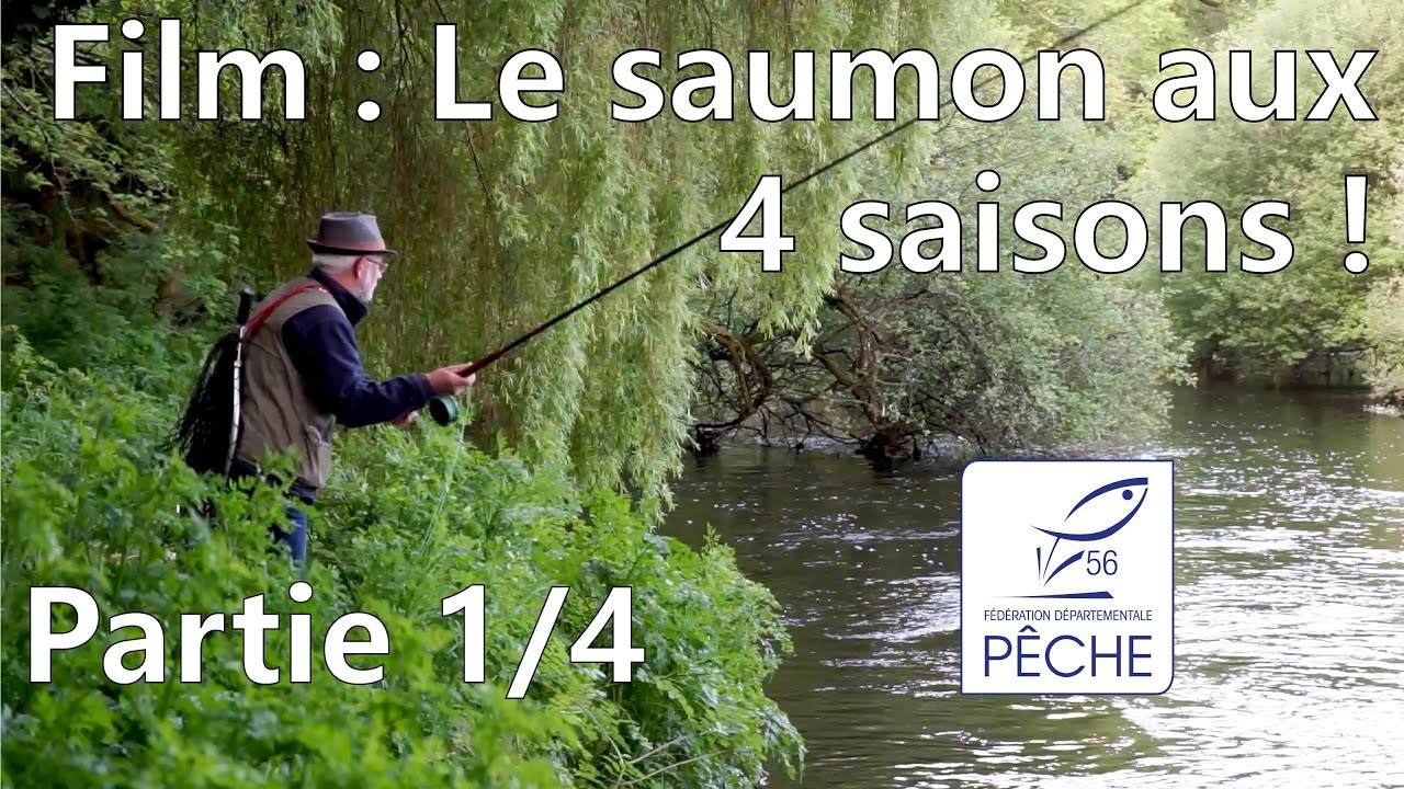 Le Saumon aux 4 saisons : Épisode 1/4 - La dévalaison des smolts !