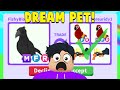 Trading MEGA CROW in RICH Adopt Me Server! (DREAM PET?!)