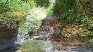 Relax by the Riverside; ASMR Water Sounds for Mindfulness. screenshot 4