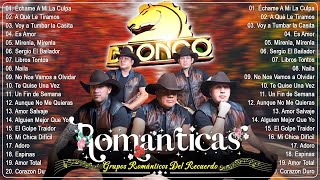 Grupo Bronco mix Romanticas del Ayer   Bronco Éxitos Del Recuerdo   Lo Mejor de Grupo Bronco
