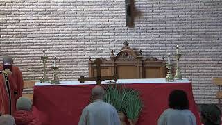Palm Sunday 2026